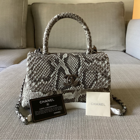 Authentic Chanel python - Picture 1 of 16